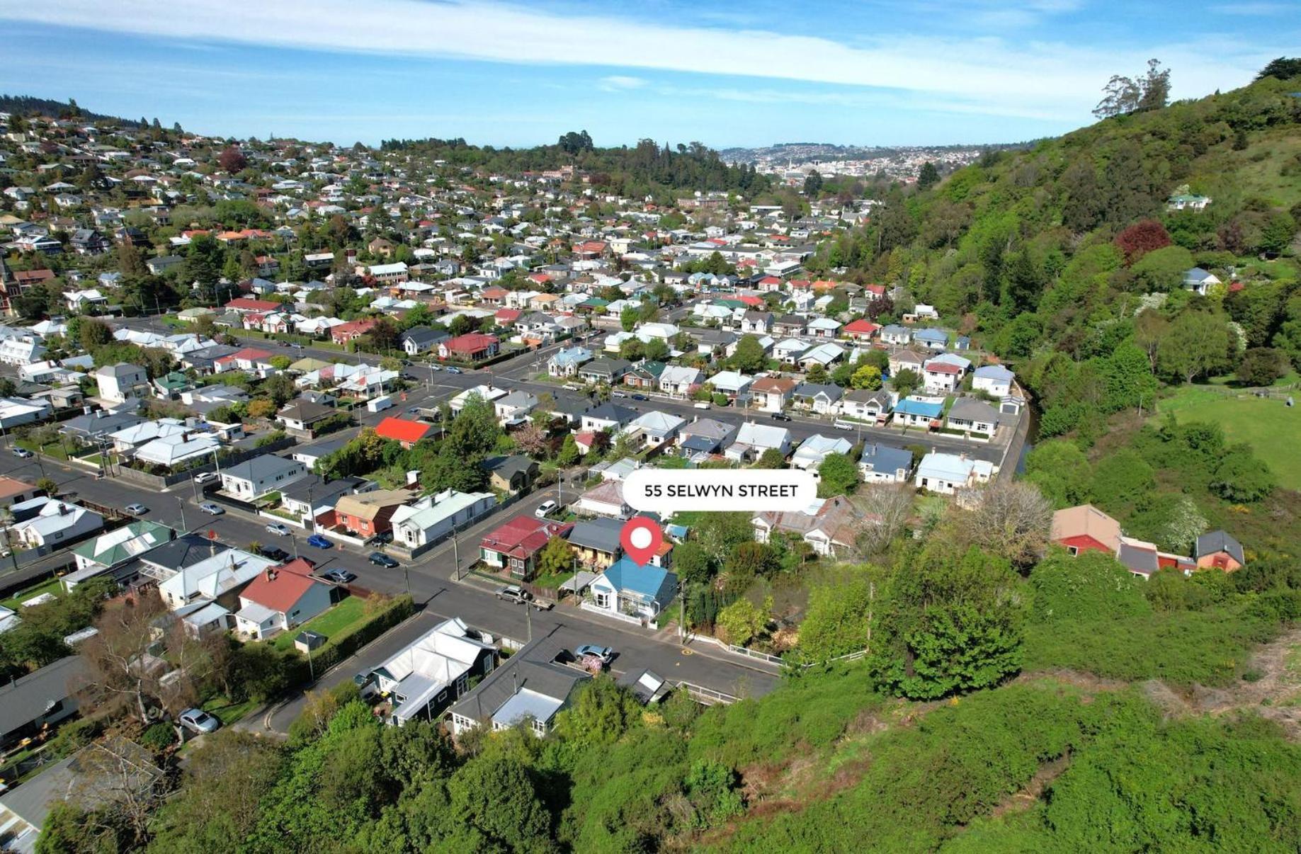 In Dunedin'S Heart, Full House, Full Sun, Full Chill, Why Stay At A Hotel When You Can Afford An Entire House Esterno foto
