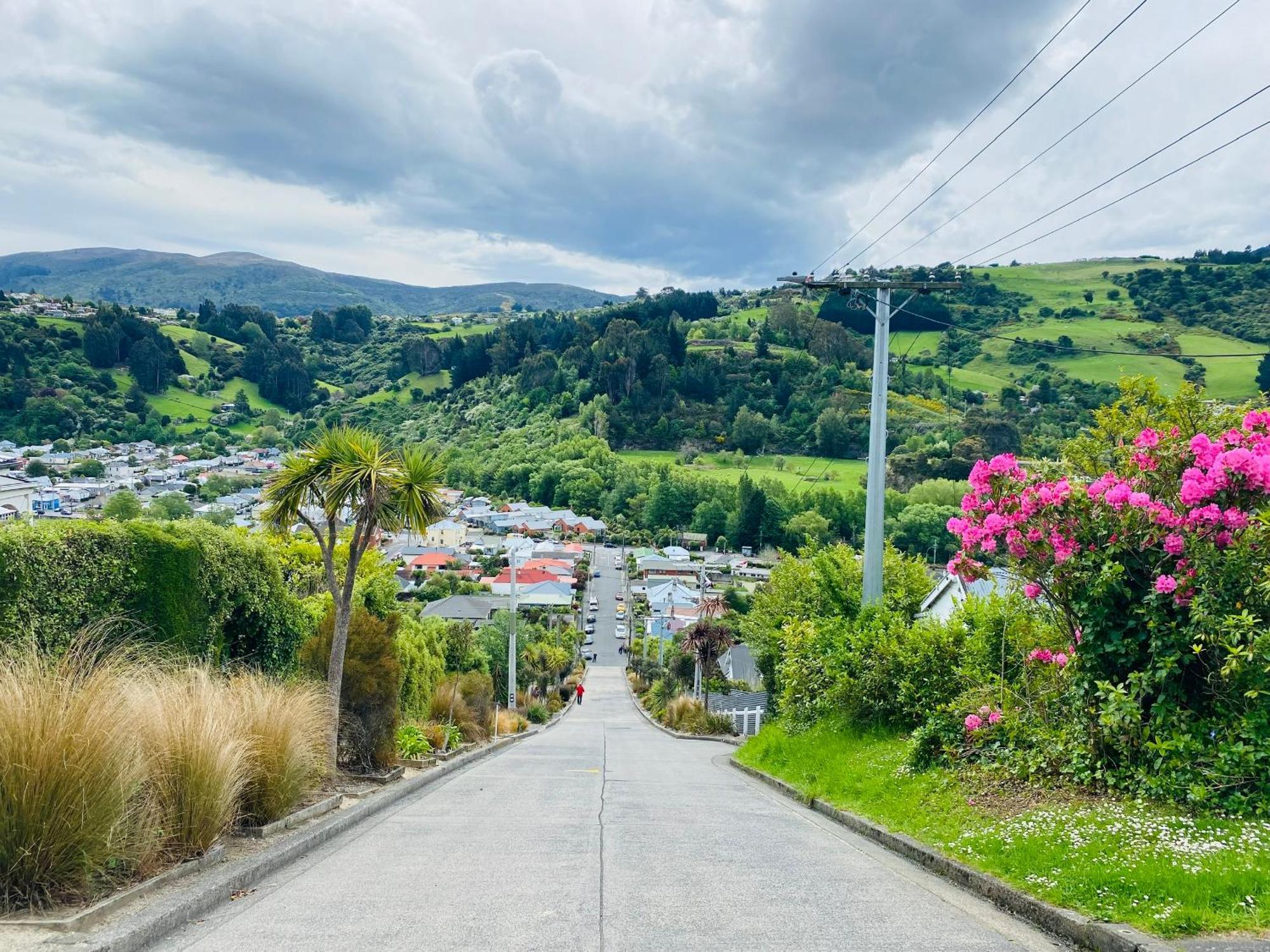 In Dunedin'S Heart, Full House, Full Sun, Full Chill, Why Stay At A Hotel When You Can Afford An Entire House Esterno foto